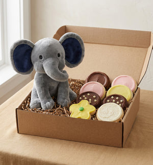Elephant Plush and 12 Cookie Gift Box