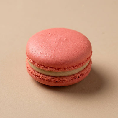 Hazelnut Macaron