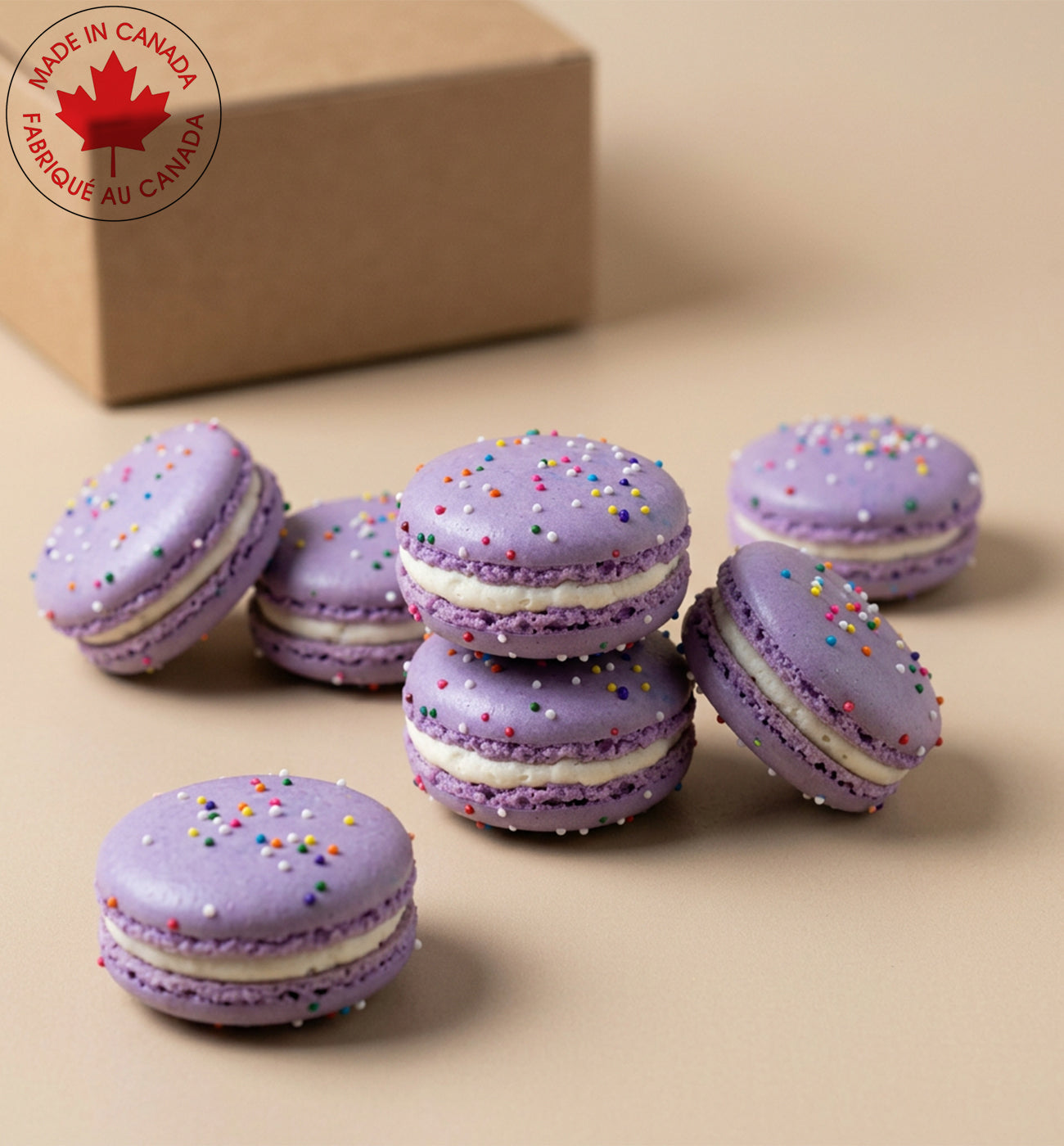 Rainbow Sprinkle Macarons – Fun French Macarons Delivery in Canada