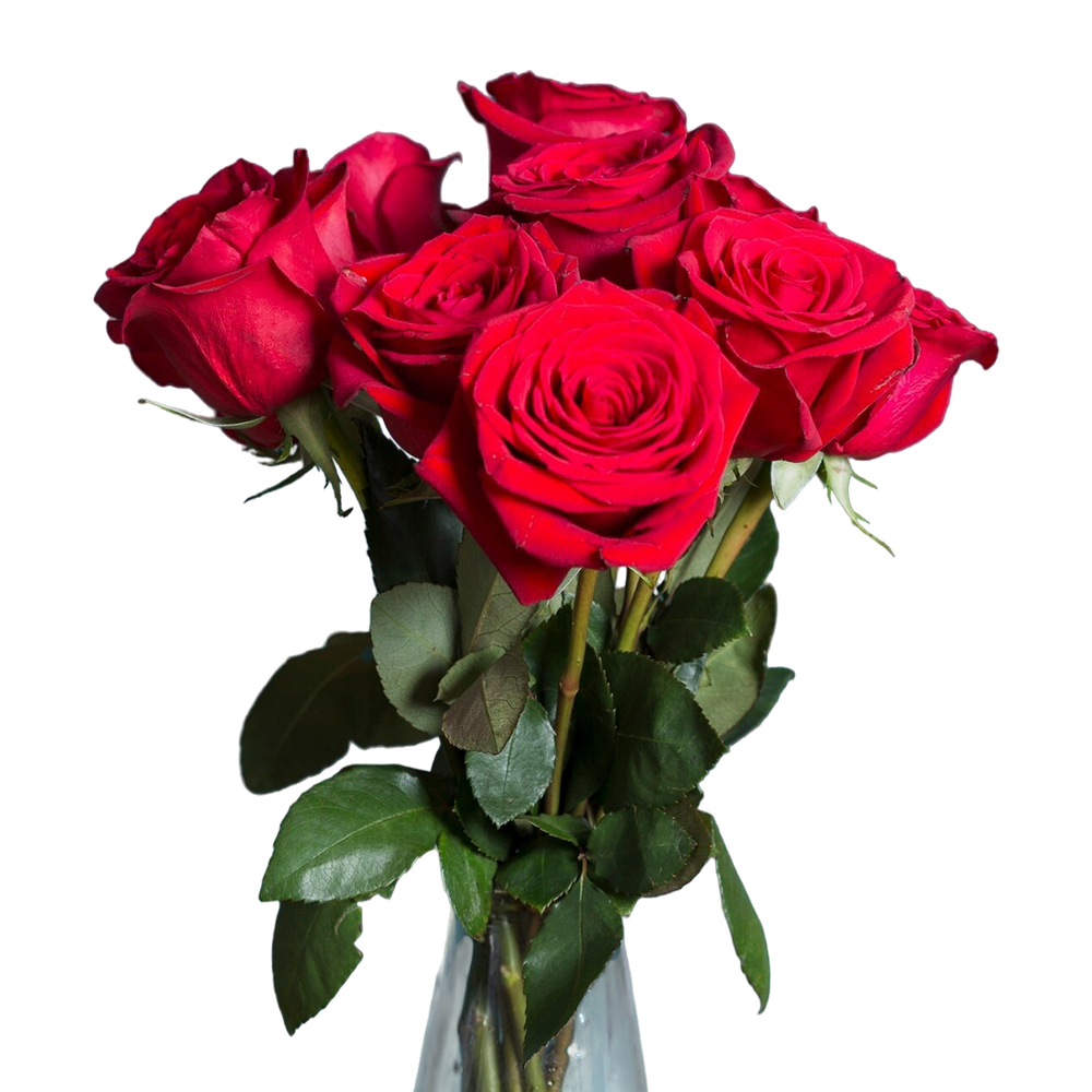 Red roses bouquet