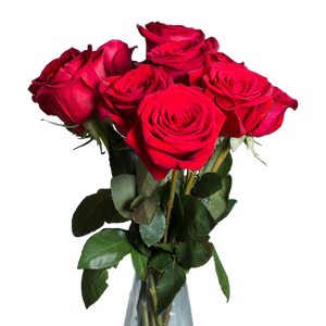 Red roses bouquet