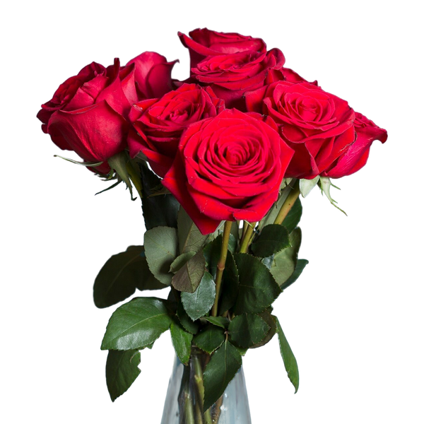 Half Dozen Red Roses Bouquet